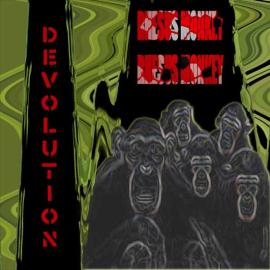 Rhesus Monkey